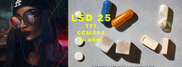 тгк Алзамай