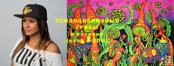 тгк Алзамай