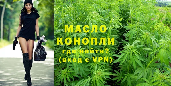 тгк Алзамай
